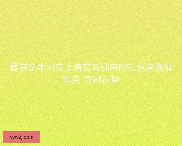 香港金牛力克上海玄鸟迎来NBL总决赛冠军点 夺冠在望