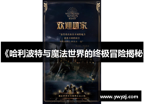 《哈利波特与魔法世界的终极冒险揭秘》