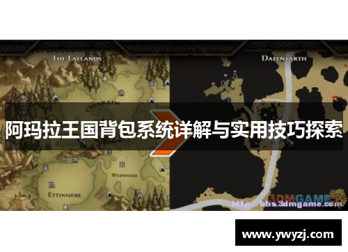 阿玛拉王国背包系统详解与实用技巧探索
