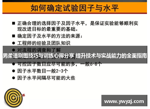 男柔道刷图技巧与训练心得分享 提升技术与实战能力的全面指南