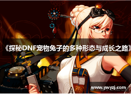 《探秘DNF宠物兔子的多种形态与成长之路》