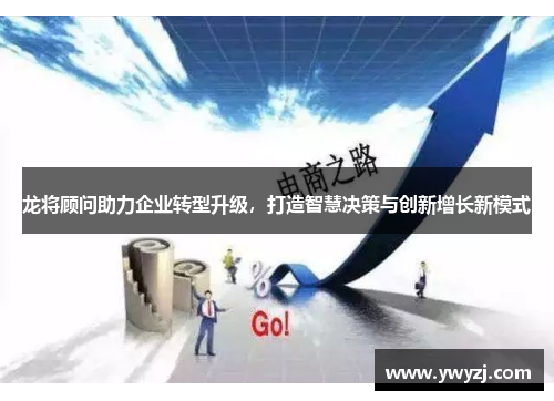 龙将顾问助力企业转型升级，打造智慧决策与创新增长新模式