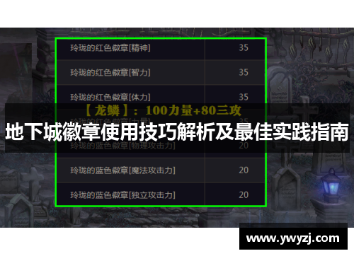 地下城徽章使用技巧解析及最佳实践指南